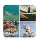 thumbnail image 3 of Kit De Accesorios Para Pesca  Señuelos 181 Pzas, 3 of 3