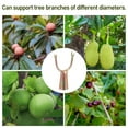 thumbnail image 3 of LITINKIMI 10Pcs Tree Branch Support Metal Simple Structure for Wear-Resistant Long-Term Use Farmers Gardeners, 3 of 8