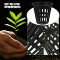 thumbnail image 3 of WRITWAA 5Ud Canastas De Plástico Para Cultivo Hidropónico Con Malla Ranurada Color Negro, 3 of 8