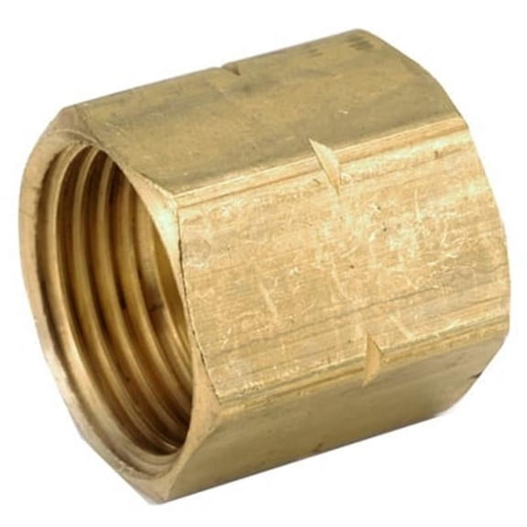 Anderson Metals 757402-12 .75 x .75 in. Female Garden Hose Adapter