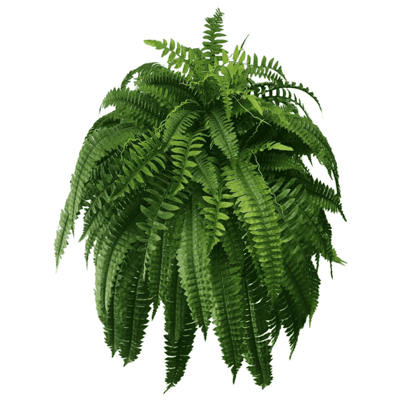 Single Silky Artificial Boston Fern Bush, Large Artificial Ferns for Outdoors, Large Faux Ferns Artificial Plants,Suitable for Decorating Office, Living Room Faux Greenery