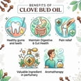 thumbnail image 3 of Incensesticks Clovebud Essential Oil, 10ml, 3 of 7