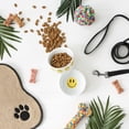 thumbnail image 4 of DII Pet Bowl Heart Paw, Medium 6Dx2H (Set of 2), 4 of 4