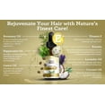 thumbnail image 5 of GuruNanda Rosemary Mint Hair Oil -Travel Size - For All Hair Types - 2oz, 5 of 8