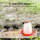 thumbnail image 2 of Bebedero para pollitos de alta resistencia, paquete de 4, bebedero para aves de corral de 1 litro con asa, recipiente de agua de plástico para aves de corral, pavos, patos y más, 2 of 5