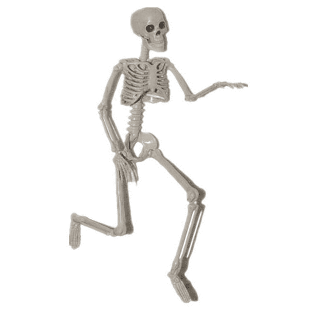 Life-Size Bag of 12 Bones Human Skeleton Body Parts Halloween Prop Haunted House 