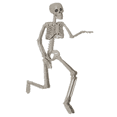 thumbnail image 1 of ITFABS Halloween Human Skeleton Horror Holiday Prop with Movable Joints, 1 of 2