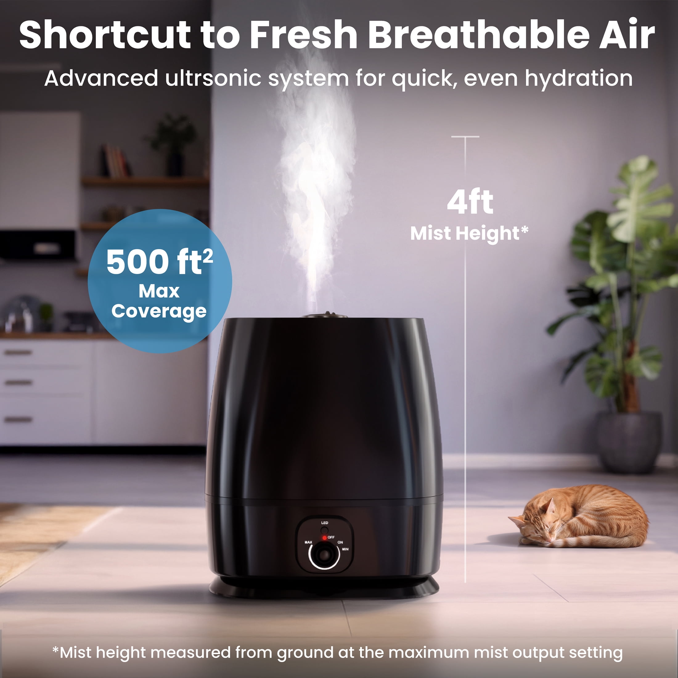 Everlasting Comfort Cool Mist Humidifier, 6L Filterless Humidifier for Large Rooms