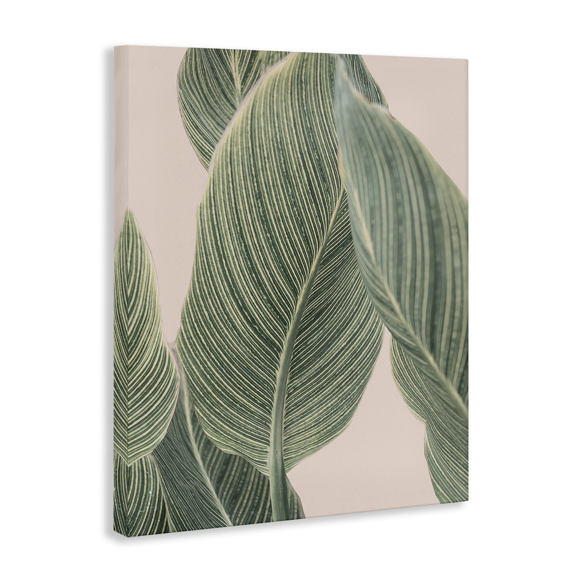 Stupell Industries Curled Green Leaves Plants & Flowers Painting Wrapped Canvas Art Print Wall Art, 36 x 48