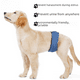 thumbnail image 3 of Pantalones antiacoso para perros, ropa interior impermeable y lavable, suministros para mascotas, cinturón de sujeción para perros, 3 of 4