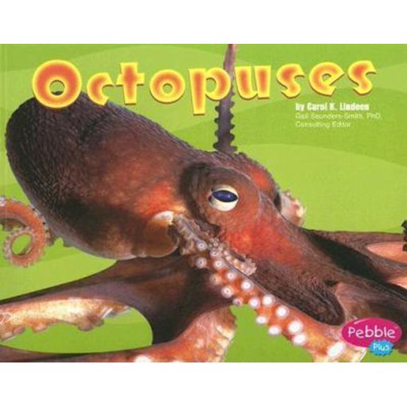 Pre-Owned Octopuses (Pebble Plus: Under the Sea) (Paperback) 0736851178 9780736851176