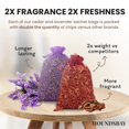 thumbnail image 2 of Sachet HOUNDSBAY de cedro y lavanda totalmente naturales (paquete de 20), 2 of 7