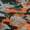 Black, Charcoal, Orange, Silver, variant on Ronit Textile Charcoal Football Mesh Jersey Camouflage Print by Yard (36"X60")