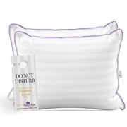 Two (2) Pack Pillows - Luxury Synthetic Down Alternative Pillows - Queen Anne Pillow Co. Majesty Down - Hypoallergenic Allergy Free Bed Pillows - Made in USA (Queen Medium)
