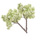 thumbnail image 1 of BEADCEST 2Ud De Árbol Decorativas Para Escenarios Y Con Detalles Realistas Y Modernos, 1 of 6