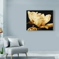 thumbnail image 3 of Trademark Fine Art 'Buttercream Magnolia II' Canvas Art by Rachel Perry, 3 of 4