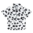 thumbnail image 1 of Hiiyo Boy's Hawaii Beach Holiday Shirt Short Sleeved Tropical Print Button-Up Shirts, 1 of 6