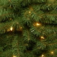 thumbnail image 3 of National Tree Company Pre-Lit Artificial Christmas Wreath, Green, Kincaid Spruce, White Lights, Christmas Collection, 24 Inches, 3 of 4