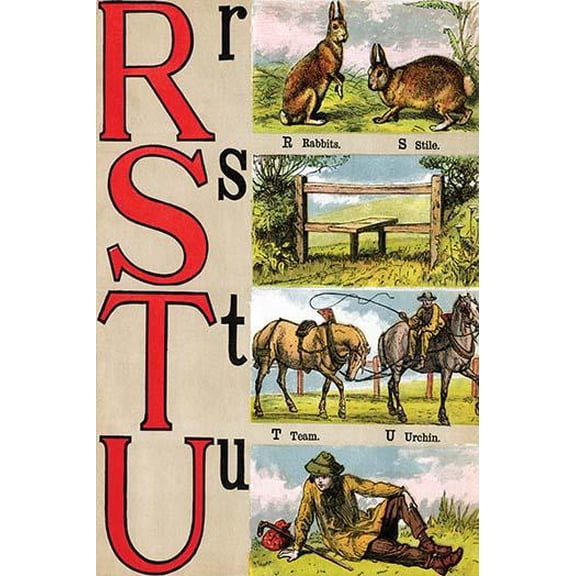 R, S, T, U Illustrated Letters-Fine Art Canvas Print (20" x 30")