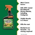 thumbnail image 3 of Spectracide Weed Stop for Lawns Plus Crabgrass Killer, Ready-to-Use Spray, 32 ounces, 3 of 13