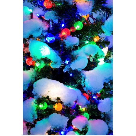 Great Big Canvas Rolled Poster Print Entitled Close Up Of A