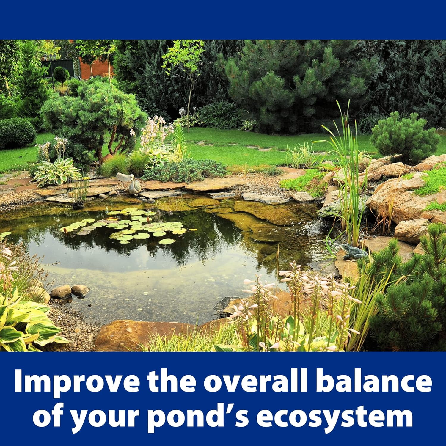 The Pond Guy AllClear G2 Pressure Filter & Ultraviolet Light Clarifier - Thumbnail 5