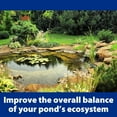 The Pond Guy AllClear G2 Bio Pressure Filter & Ultraviolet Light