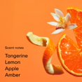 thumbnail image 3 of Perfume PHLUR Fine Fragrance Eau de Parfum 50 ml Tangerine Boy, 3 of 6