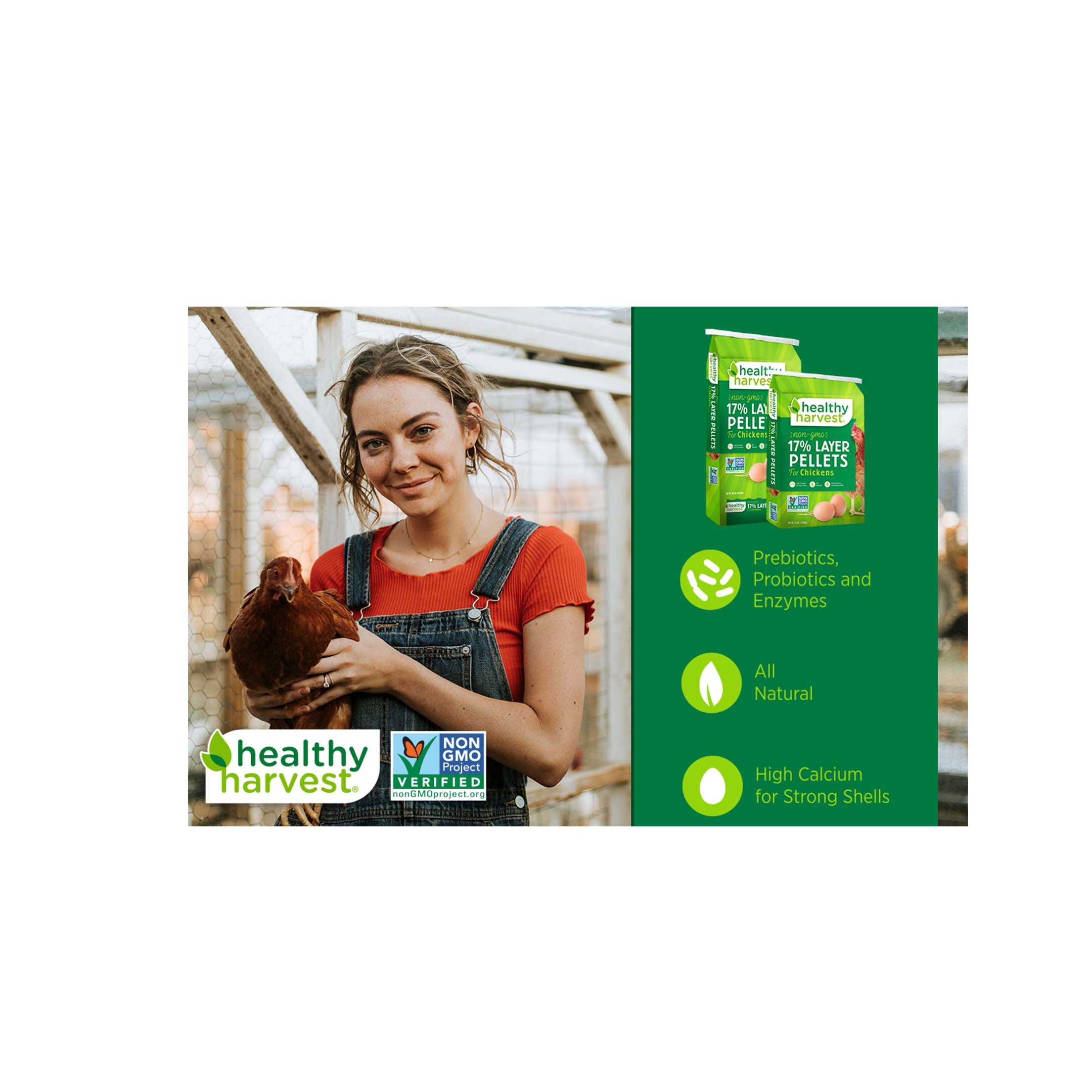 (2 pack) Healthy Harvest Non-GMO Chicken Feed Crumbles for Egg Laying Hens, 40 lb Bag