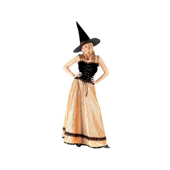 Adult Elegant Witch Costume