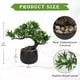 thumbnail image 2 of Árbol Bonsái Artificial Briful de Enebro 25 cm con Maceta de Cerámica, 2 of 6