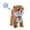 B, variant on ZJNGJC 2026 Froplay Interactive Robot Toy with Remote Control Leash Sensing Voice Mimic Licking Tongue Motion Realistic Sounds Soft Puppy Companion C