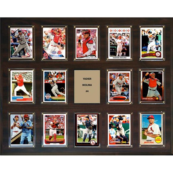 C&I Collectables 162014MOLINA 16 x 20 in. MLB Yadier Molina St Louis Cardinals 14-Card Plaque