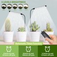 thumbnail image 3 of Grow Light for Indoor Plants Growing K Full Spectrum Gooseneck Plant Lamp for Seedlings Succulents Auto On/Off Timer Function & Dimming, 3 of 6