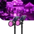thumbnail image 1 of Focos solares para jardín InnoGear violeta morado, paquete de 2, 1 of 8