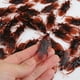 thumbnail image 2 of Paquete de 40 cucarachas de plástico falsas para cucarachas, insectos, bromas, para Halloween (marrón), 2 of 5