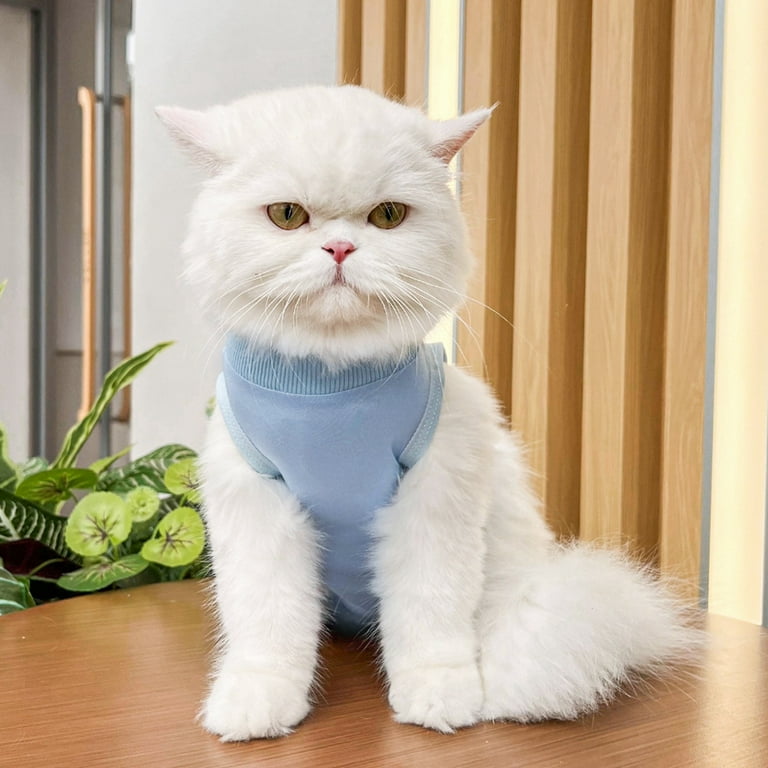 Cat wearing onesie hotsell