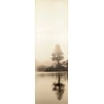 thumbnail image 2 of Blaustein, Alan 9x18 Black Ornate Wood Framed with Double Matting Museum Art Print Titled - Lakeside Tree - 1, 2 of 4