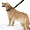 thumbnail image 1 of unbranded 2Ud Collar Protector Para Perros Ajustable Negro Resistente A Arañazos Y Desgaste, 1 of 6