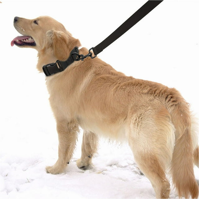 unbranded 2Ud Collar Protector Para Perros Ajustable Negro Resistente A Arañazos Y Desgaste