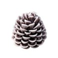 thumbnail image 2 of Cadancy Pine Cone Shape Scented Candles Soy Wax Aromatherapy Home Decor Tabletop Centerpiece Christmas Winter Holiday Decoration Indoor Fragrance Gift Set Party Seasonal Ornament, 2 of 7
