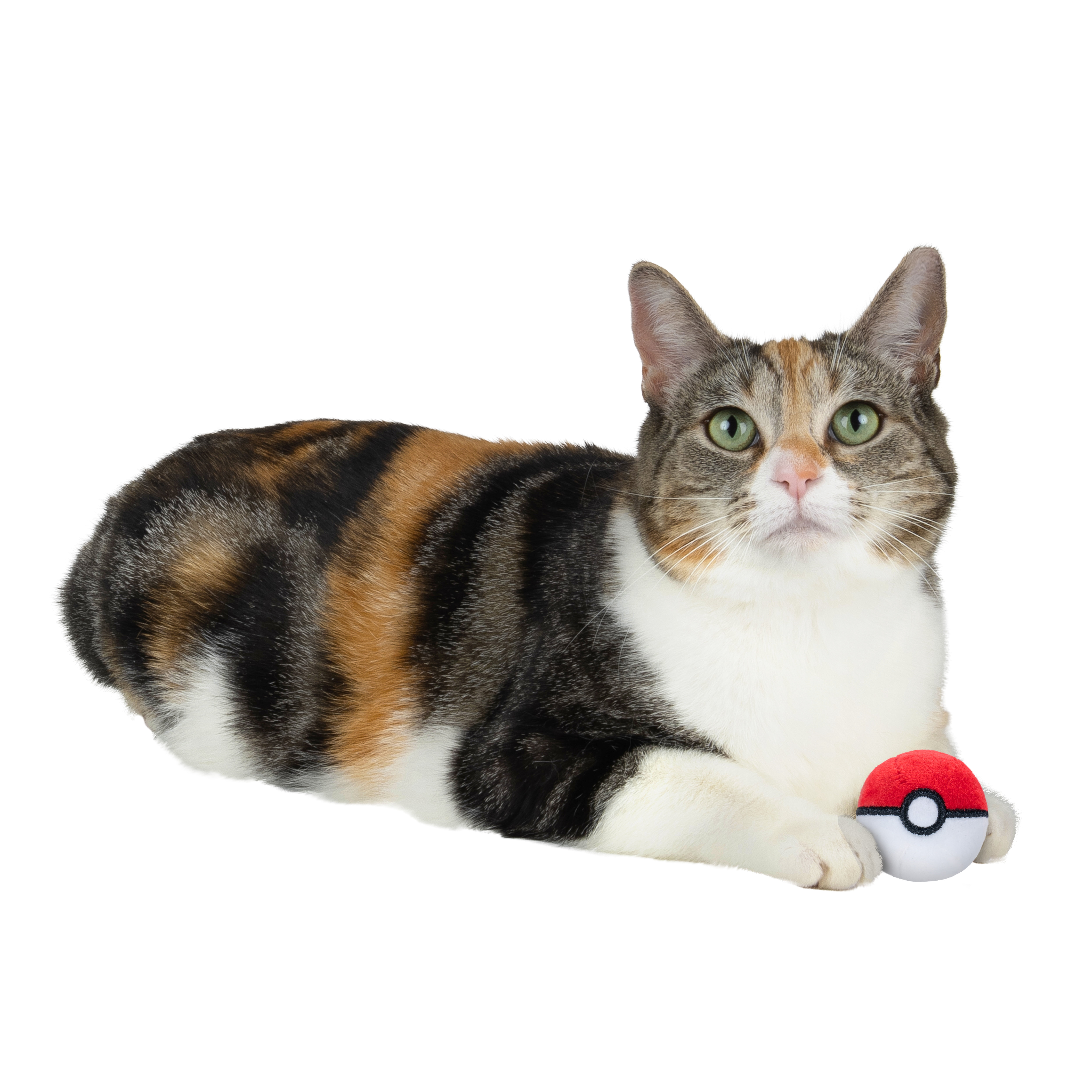 Pokemon 2 inch Red and White Poké Ball Cat Plush - Plush Ball with Catnip