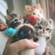 thumbnail image 2 of Cute and Interesting handmade toys DIY wool felt cat kits unfinished plush doll poking music toy gift Non-finished product, 2 of 5
