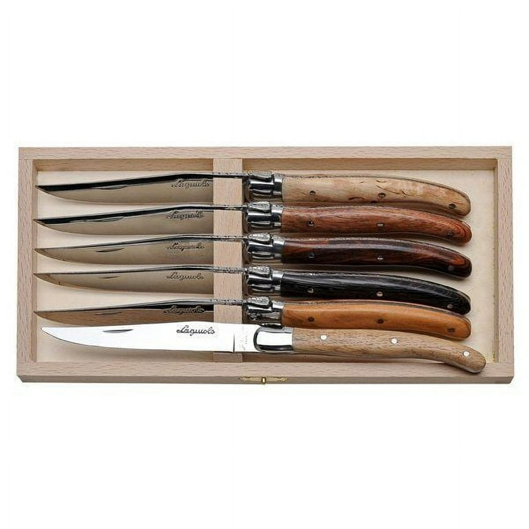 Laguiole Jean Dubost 6-Piece Steak Knife Block Set in Turquoise