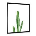 thumbnail image 2 of Designart 'Green Cactus South Western Plant' Tropical Framed Art Print, 2 of 4