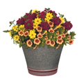 thumbnail image 4 of Classic Home and Garden 12" Doherty Pot - Distressed Galvanized, 4 of 4
