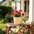 thumbnail image 4 of Upgrade Round Faux Rattan Plastic Planter, Small Succulent Plant Pot with Base Tray, Indoor Outdoor Home Decor Pot, 4.53x4.33in A, 4 of 6