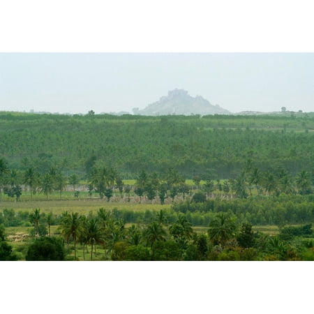 View of Bangalore Plateau with Palm Plantation and Granite Outcrop Print Wall (Best Granite Dealers In Bangalore)