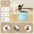 thumbnail image 2 of Kopmath Elevated Slow Feeder Cat Bowl, Stop Vomiting & Choking, Ceramic Cat Slow Feeder Bowl, Spill-Proof & Anti-Tipping, Easy to Clean, No Black Chin, Raised Cat Bowl Slow Feeder for Dry & Wet Food, 2 of 6