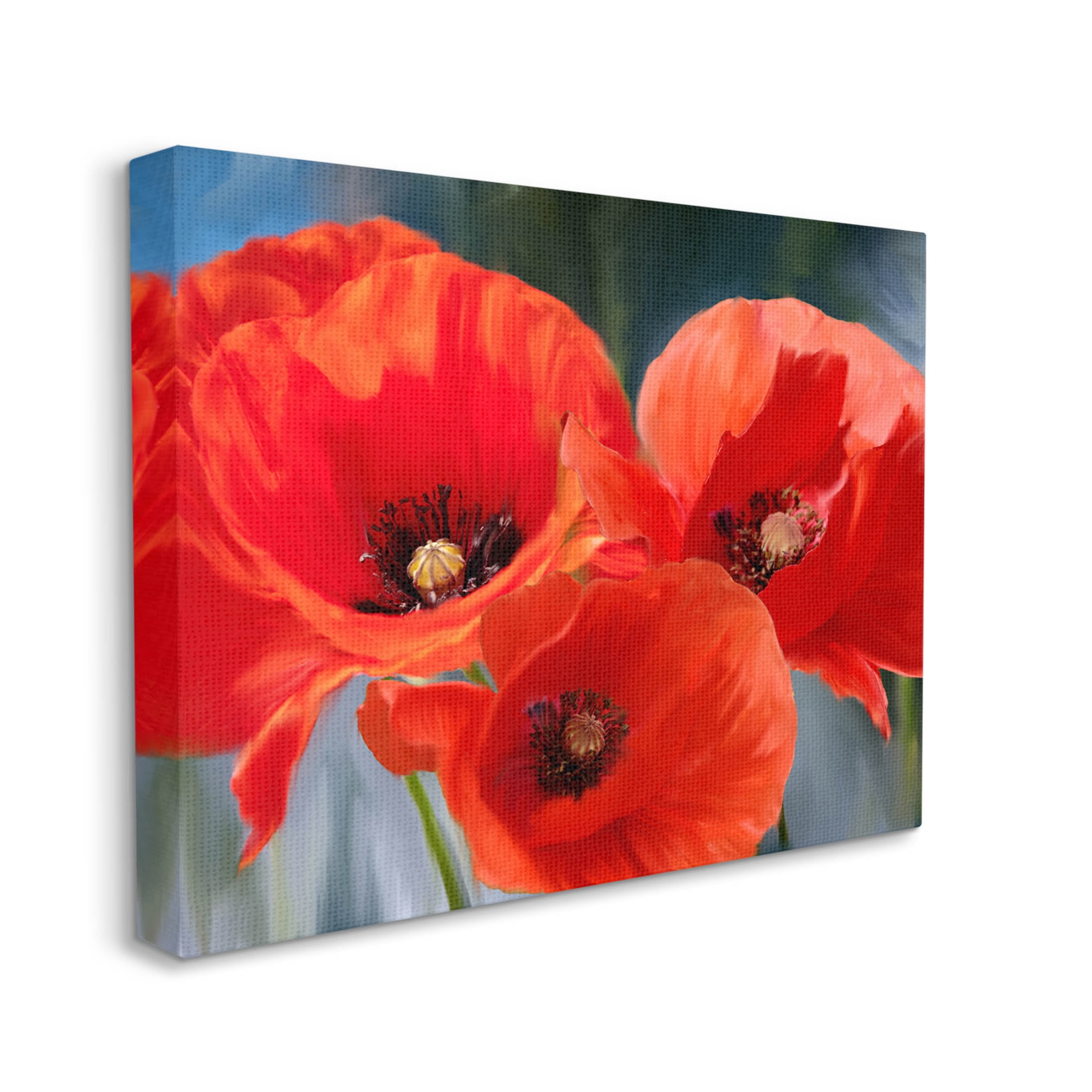 Bold Red Poppy Flower Trio Botanical & Floral Painting Gallery Wrapped Canvas Print Wall Art